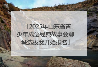 2025年山东省青少年成语经典故事会聊城选拔赛开始报名