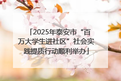 2025年泰安市“百万大学生进社区”社会实践提质行动顺利举办