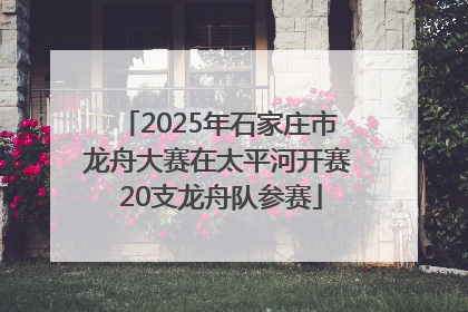 2025年石家庄市龙舟大赛在太平河开赛 20支龙舟队参赛