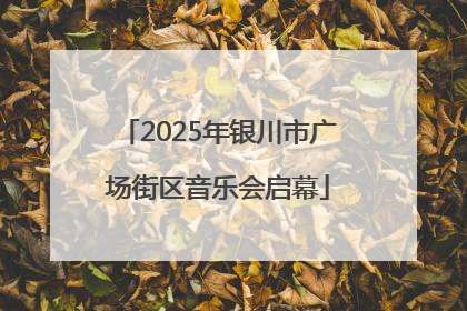 2025年银川市广场街区音乐会启幕