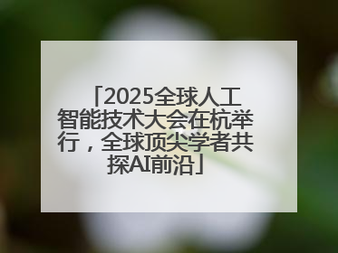 2025全球人工智能技术大会在杭举行，全球顶尖学者共探AI前沿