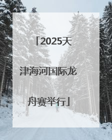 2025天津海河国际龙舟赛举行