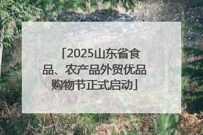 2025山东省食品、农产品外贸优品购物节正式启动