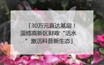 30万元直达基层！淄博高新区财政“活水”激活科普新生态