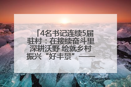 4名书记连续5届驻村：在接续奋斗里深耕沃野 绘就乡村振兴“好丰景”——浦发银行南京分行助力脱贫攻坚、帮促乡村振兴记事（二）