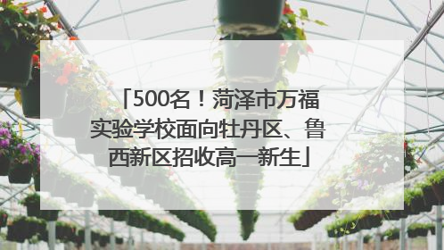 500名！菏泽市万福实验学校面向牡丹区、鲁西新区招收高一新生