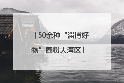50余种“淄博好物”圈粉大湾区