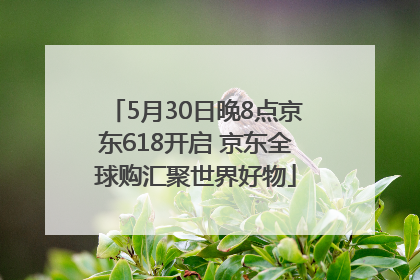 5月30日晚8点京东618开启 京东全球购汇聚世界好物