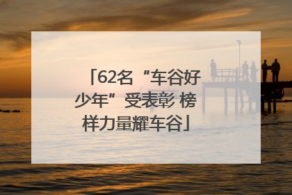 62名“车谷好少年”受表彰 榜样力量耀车谷