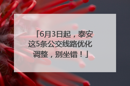 6月3日起，泰安这5条公交线路优化调整，别坐错！