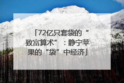 72亿只套袋的“致富算术”：静宁苹果的“袋”中经济