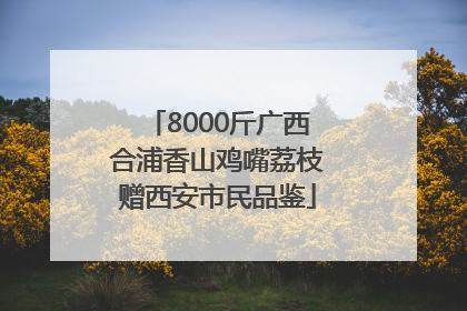 8000斤广西合浦香山鸡嘴荔枝赠西安市民品鉴