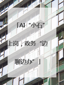AI“小石”上岗，政务“边聊边办”