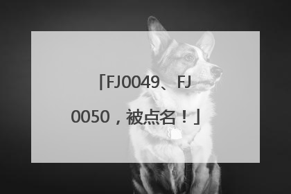 FJ0049、FJ0050，被点名！