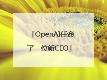 OpenAI任命了一位新CEO