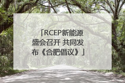 RCEP新能源盛会召开 共同发布《合肥倡议》