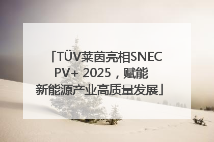 TÜV莱茵亮相SNEC PV+ 2025，赋能新能源产业高质量发展