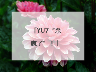 YU7“杀疯了”！